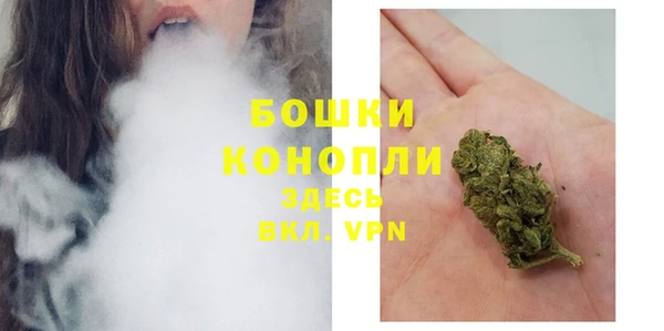 ешки Гусев